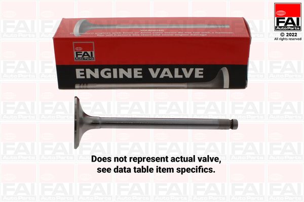 FAI AUTOPARTS Pakoventtiili EV1379